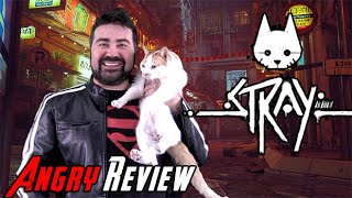 Stray  Angry Review [upl. by Ettelimay420]