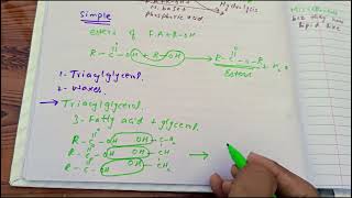 CV B 001 Classification of lipids part 1 made easy CVS module biochemistry lecture 1 [upl. by Kemppe]