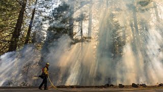 Waldbrand in Kalifornien vernichtet Gebäude [upl. by Ardnot142]