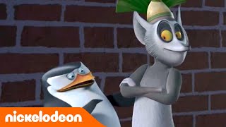 Die Pinguine aus Madagascar  Miracle on Ice  Nickelodeon Deutschland [upl. by Johansen266]