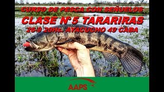 🔥🔥 TREMENDA PESCA en KAYAK de TARARIRAS con SEÑUELO y BAGRES en lugares INCREÍBLES [upl. by Jacobina575]