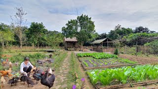 Full Video 130 days of gardening planting harvesting cooking and taking care of pets [upl. by Wetzell]