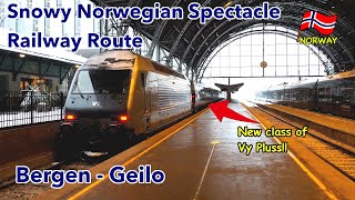 Train Trip by Bergen Express the most fantastic scenery railway Bergen to Geilo Norway [upl. by Jens]