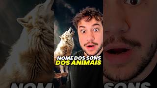 nome dos sons dos animais livedobrino humor MundinhoBrino [upl. by Regan507]