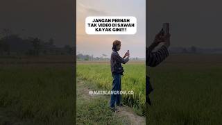 Tips Video Sinematik di Sawah  Sinematik 30 Detik [upl. by Eluk709]