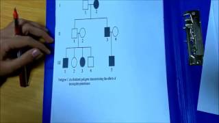 Module 03  Pactical Genetics  Ahmed Nawar [upl. by Ettenrahs907]