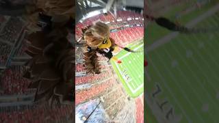 Highest Rope Swing Drop 😳 atlantafalcons [upl. by Connor186]