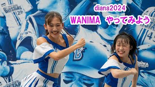 やってみよう diana 試合前ステージ 20240903 [upl. by Etnaihc140]