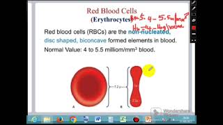 Module 3b  Blood Physiology Part 2 [upl. by Llertnom]