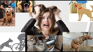 Dogs Reduce Stress No They CAUSE IT Video Proof [upl. by Lorrie]