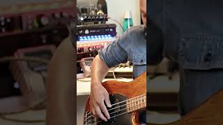 Floating thumb muting bass technique [upl. by Syxela594]