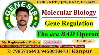 Arabinose Operon  Gene Regulation Lecture8  CSIR NETJRF  Life science [upl. by Guinevere616]