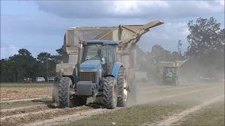 DAVIS FARMS 2017 PEANUT HARVEST PART 1 [upl. by Neened]