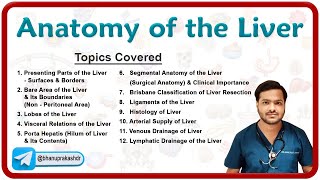 Anatomy Of the Liver By Dr Abhijeet [upl. by Hendrick]