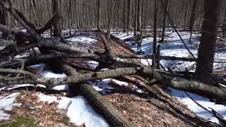 Aetna EarthworksMissaukee County Michigan Indian Mounds [upl. by Atiuqahc]