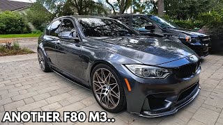 The Ultimate Daily BMW F80 M3 Competition [upl. by Llehcim]