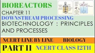 PART11 BIOREACTORSDOWNSTREAM PROCESSINGCLASS 12TH BIOLOGY CHAPTER 11 NCERT [upl. by Rafe]