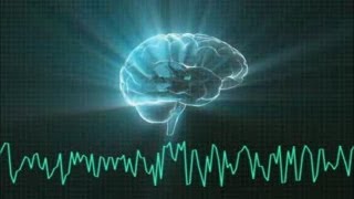 נוירופידבק  NeuroFeedback [upl. by Emyam]