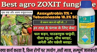 Zoxit fungicide best agro zoxit fungicide Azoxistrobin 11  Tebuconazole 183SC best fungicide [upl. by Aicile]