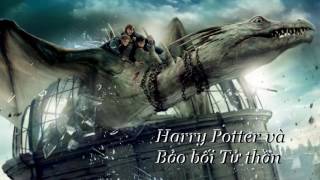 Chuyện của Prince Chương 33 Harry Potter và Bảo bối Tử thần  Tập 7 [upl. by Candi503]