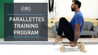 Parallettes Workout Routine amp Training Program [upl. by Ailla187]