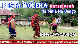 Tradisi Woleka SUMBA  ADAT SUMBA BERSEJARAH  part 2 [upl. by Clarie]