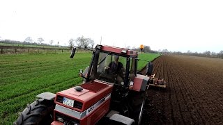 Case IH 1455 XL beim Pflügen  Pflügen 2017 [upl. by Anir]