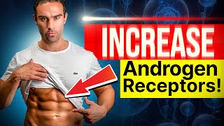 How To Increase Androgen Receptors [upl. by Lamej54]