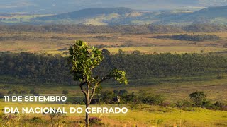 Dia Nacional do Cerrado [upl. by Inan913]