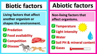 BIOTIC vs ABIOTIC  Whats the difference  Learn with examples [upl. by Hairam]