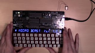 MicroBeast Z80 SBC Single board computer kit part 2 [upl. by Lacagnia]