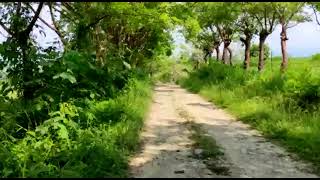 Camino entre las comunidades de La Capilla y Morelos Misantla Veracruz México [upl. by Kacey]