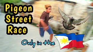 KARERA NG KALAPATI PIGEON STREET RACE in the Philippines Revealed  Pinoy ang number 1 [upl. by Lyrret]