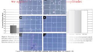 Introduction of Electroporation [upl. by Pauwles]