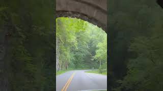 Headed into Cades Cove Great Smoky Mountain National Park [upl. by Dressel643]