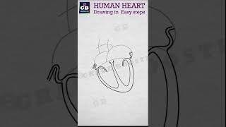 How to draw heart diagram in easy steps  10th Biology Shorts [upl. by Henriha]