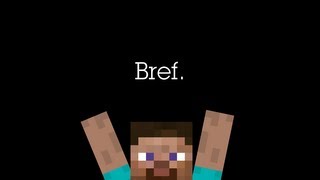 Bref Jai joué à Minecraft [upl. by Innig]