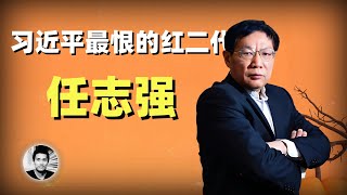 习近平最恨的红二代：任志强的性情人生 [upl. by Llewxam37]