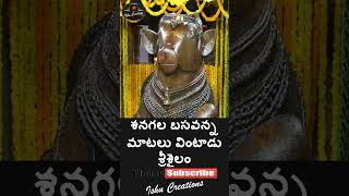 శ్రీశైలంలో శ‌న‌గ‌ల‌ బసవన్ srisailam srisailamtemple chagantipravachanalu chaganti shorts [upl. by Shay]