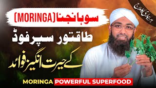 Sohanjna ke Fawaid  Health Benefits Of Moringa  Soban Attari  How to Use Moringa Powder or Leaves [upl. by Auqinahs]