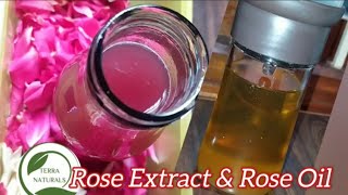 Rose Extract amp Rose Oil roseoil rose panneerrose rosé roses cosmetics diycosmetics diy [upl. by Ojimmas]