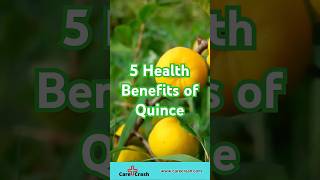 5 Health Benefits of Quince 🍐  CareCrash [upl. by Setiram]