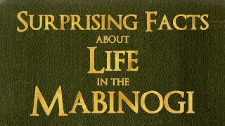 Life in the Mabinogi [upl. by Tamma]