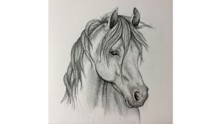 How to draw horse 🐎  horse face drawing tutorial  step by step [upl. by Yttel]