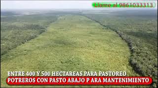 Rancho 872 Hectáreas ubicado en Tizimín Yucatán a 15 kilómetros tierras para cultivo y Ganaderia [upl. by Nirihs]