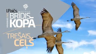 Brīdis kopā 21102024 – TREŠAIS CEĻŠ [upl. by Idaline]