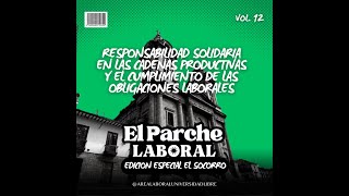 Ep Responsabilidad solidaria en las cadenas productivas y el cumplimiento de obligaciones laborales [upl. by Cathie]