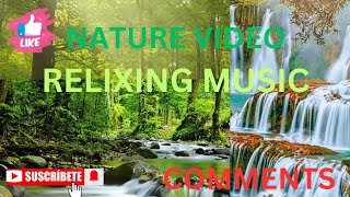 relixing musicnature videoyoutube neture videowoldwide nature video4k videokutumakutup1n [upl. by Inoue]