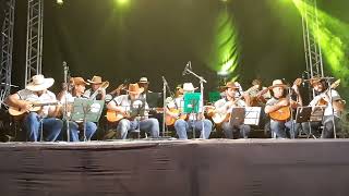 Orquestra de Viola Caipira de Lagoa Dourada  Cuitelinho [upl. by Nnylanna49]