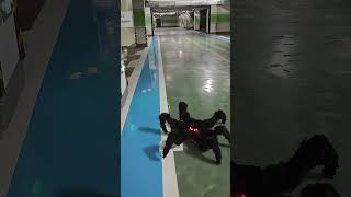 Watch My DIY Robotic Spider Scare Everyone roboticspider diyrobot robotics [upl. by Neslund]